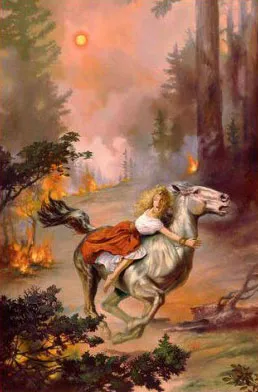 Forest Fire